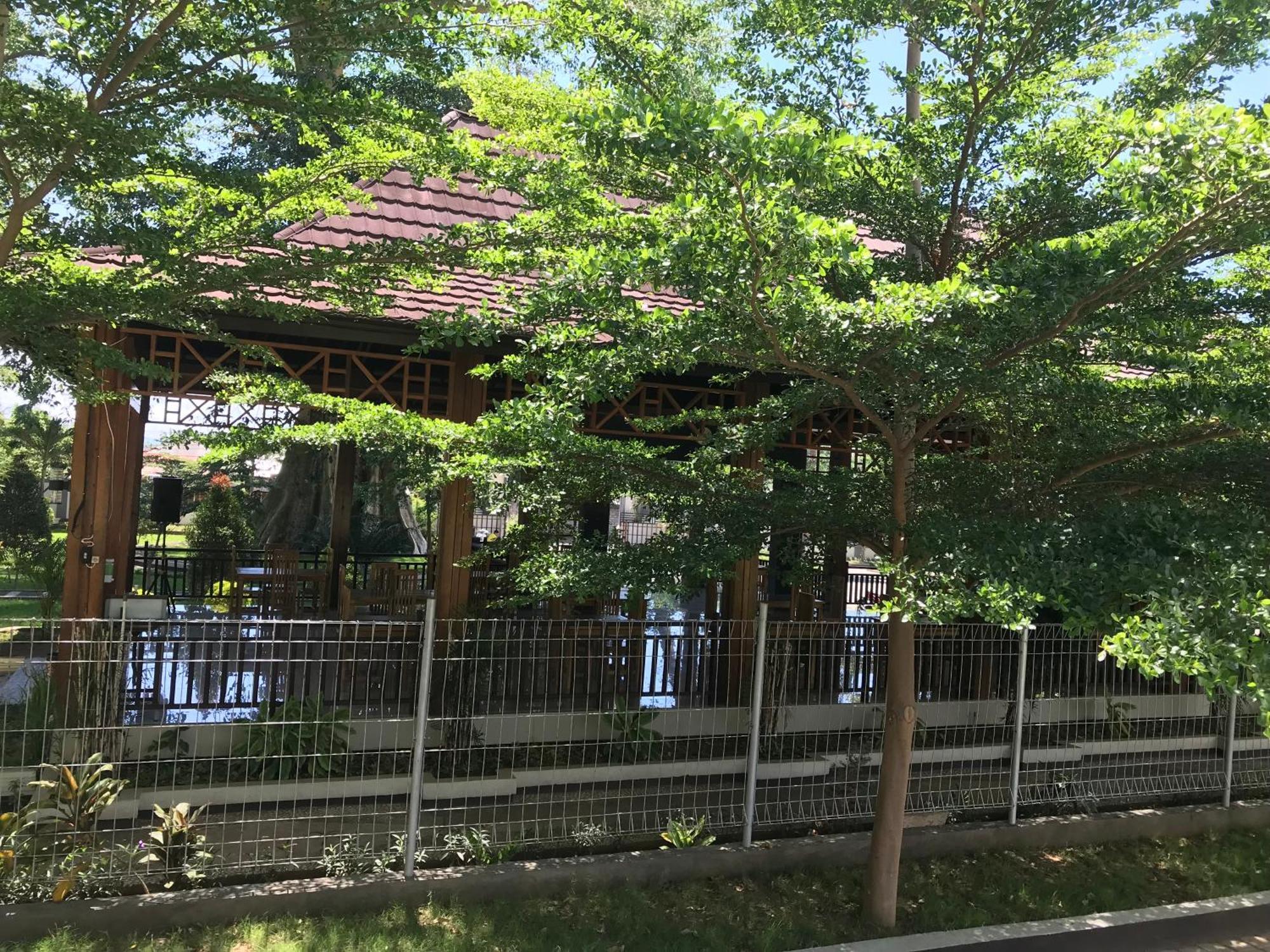 Pohon Purba Resort & Restaurant Labuhan Pandan Экстерьер фото