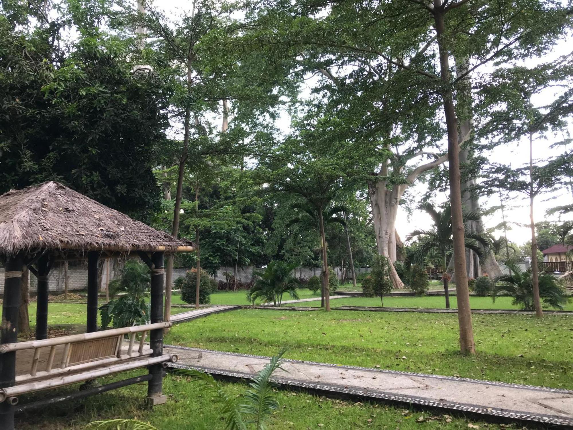 Pohon Purba Resort & Restaurant Labuhan Pandan Экстерьер фото