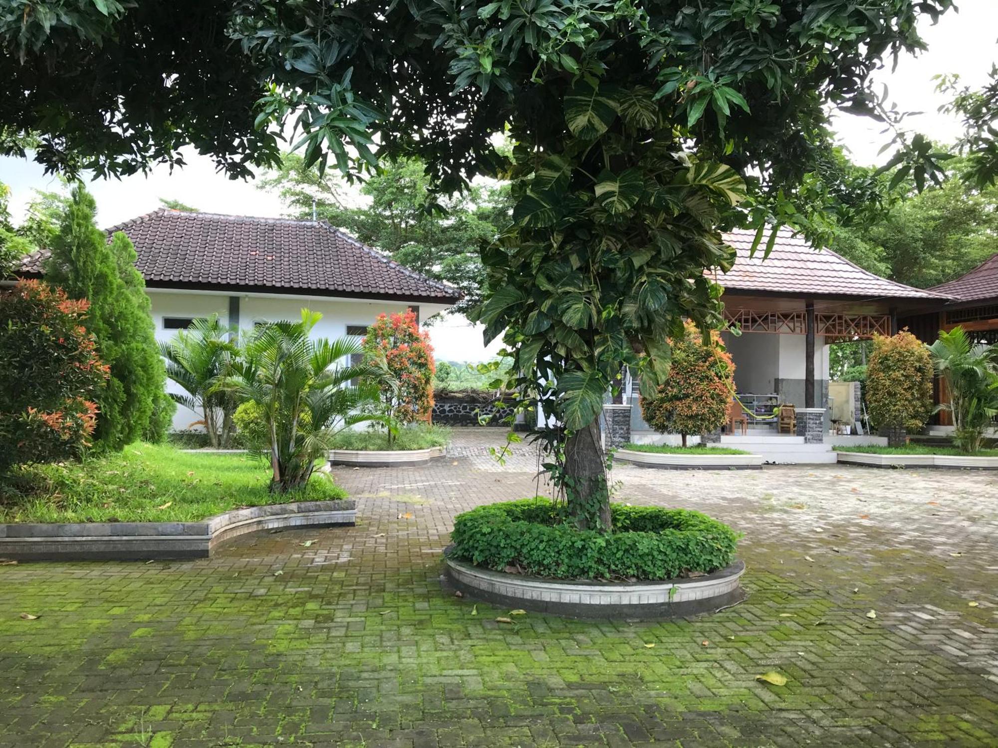 Pohon Purba Resort & Restaurant Labuhan Pandan Экстерьер фото