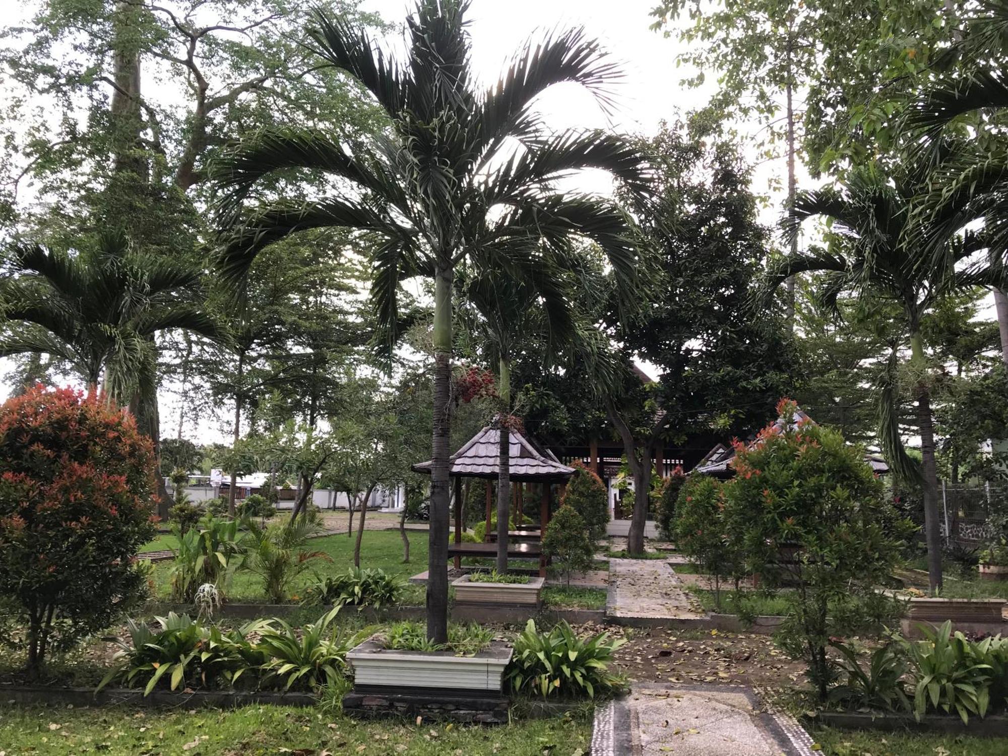 Pohon Purba Resort & Restaurant Labuhan Pandan Экстерьер фото